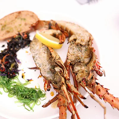 盒子科学上网全攻略：从原理到实战的深度解析