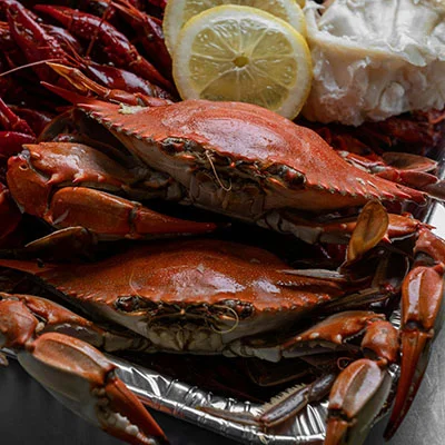 2020年全球顶级V2Ray机场深度测评与科学上网全攻略