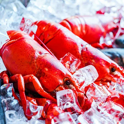 自由之钥：小天科学上网全方位解析与实战指南