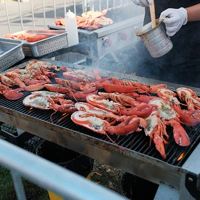 深度剖析Shadowrocket的DNS覆写：解锁网络自由与安全的全方位指南