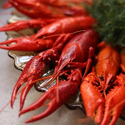 安卓端Clash配置全攻略：一步步带你轻松解锁网络自由