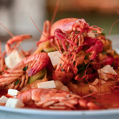 Clash 订阅免费与否？深度剖析免费与付费订阅的优劣与选择策略