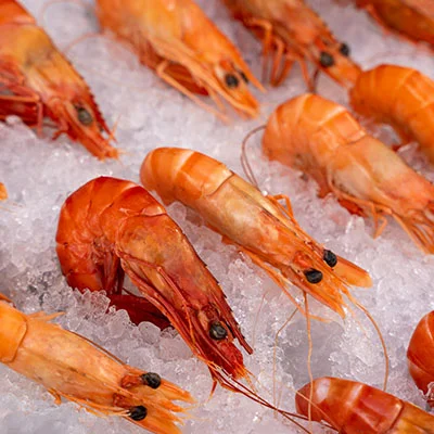 11月20日|18.1M/S，Clash节点/V2ray节点/Shadowrocket节点/SSR节点|免费订阅机场|每天更新免费节点