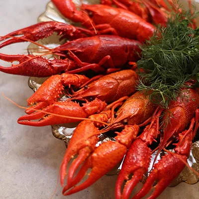 11月29日|19.6M/S，Clash节点/SSR节点/Shadowrocket节点/V2ray节点|免费订阅机场|每天更新免费节点